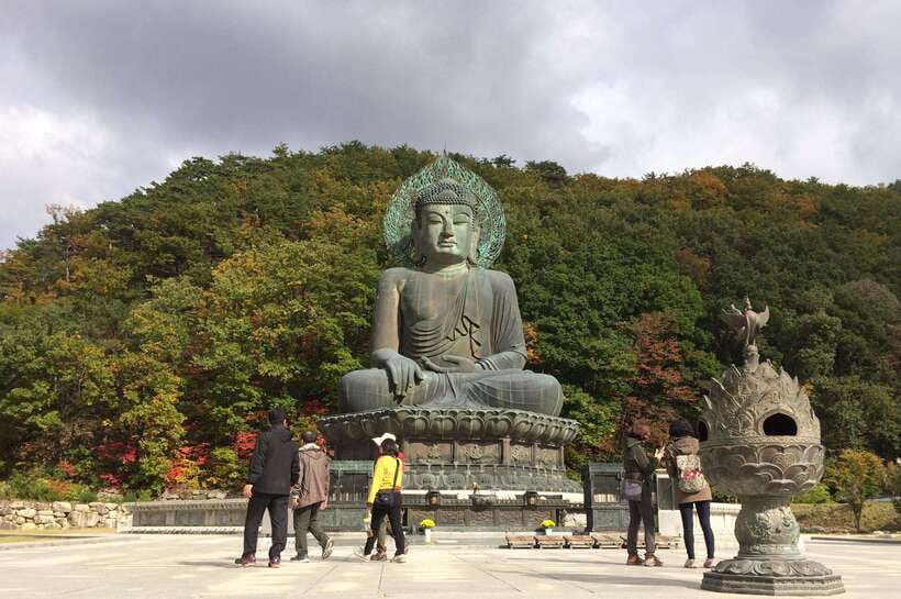 Seoul: Mt.Seorak, Nami Island, No Shopping(+RailBike Option) - Two very different escapes: Seoraksan rocks, then Nami Island calm
