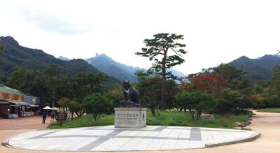 Seoul: Mt.Seorak, Nami Island, No Shopping(+RailBike Option) - Leaving Seoul from Myeongdong or Hongdae (and why that helps)