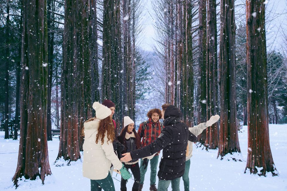 Seoul: Nami and Petite France Tour with Optional K-Garden - Price and value of this $50 day trip (tickets, transport, guide)