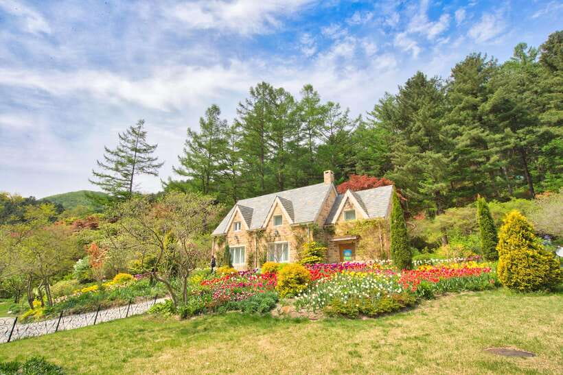 Seoul: Nami Island and Garden of Morning Calm opt Railbike - Key points worth knowing before you go