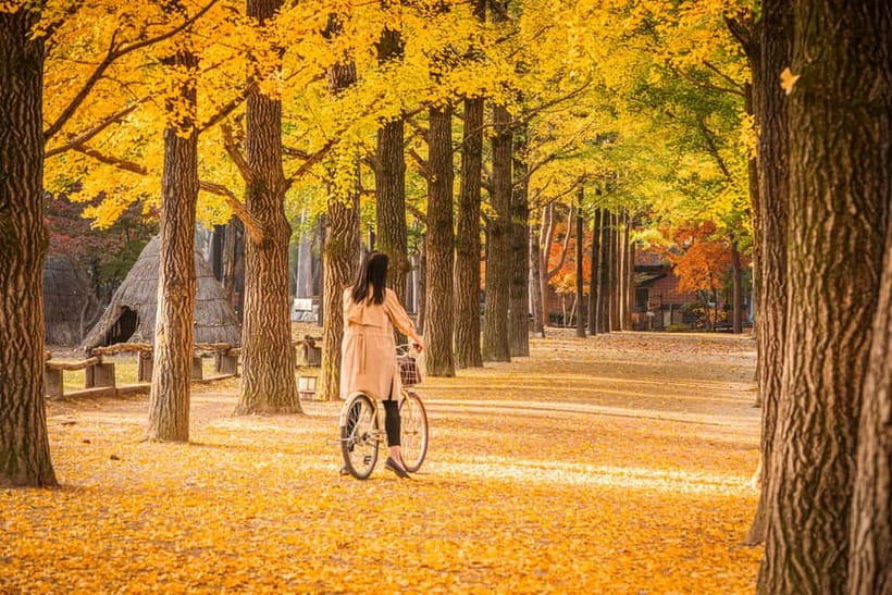 Seoul: Nami Island and Garden of Morning Calm opt Railbike - Price and what you truly get for about $51