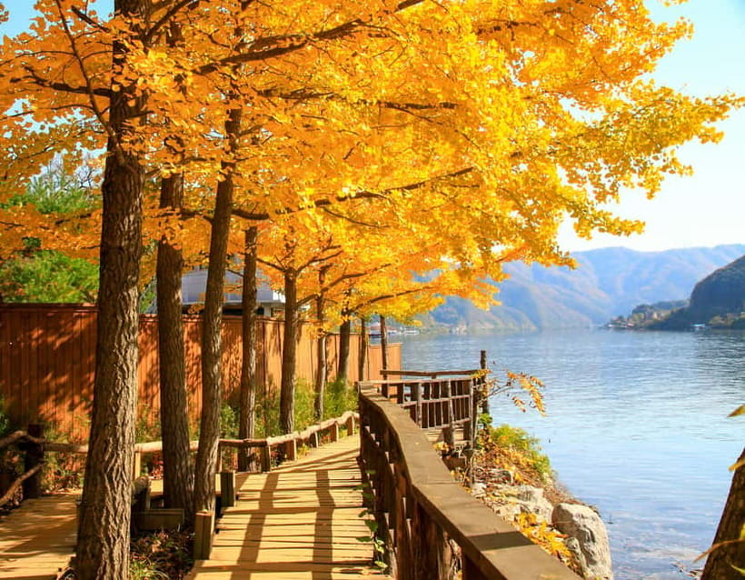Seoul: Nami Island and Garden of Morning Calm opt Railbike - Guides make or break the day (and you can feel it)
