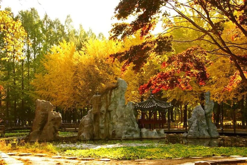 Seoul: Nami Island and Garden of Morning Calm opt Railbike - Seasonal add-ons: Eobi Ice Valley, Eden Cherry Blossom Road, and Light Festival shifts