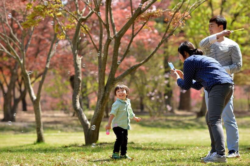 Seoul: Nami Island & Petite France Tour with Railbike Option - Nami Island: where the walking feels like the attraction