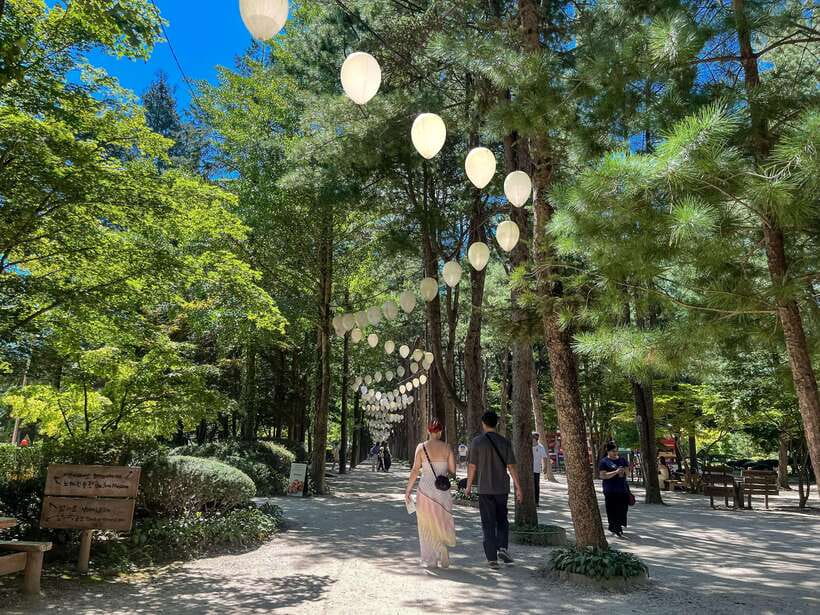 Seoul: Nami Island & Petite France Tour with Railbike Option - Petite France and the Italian Village: bright photos, familiar drama vibes