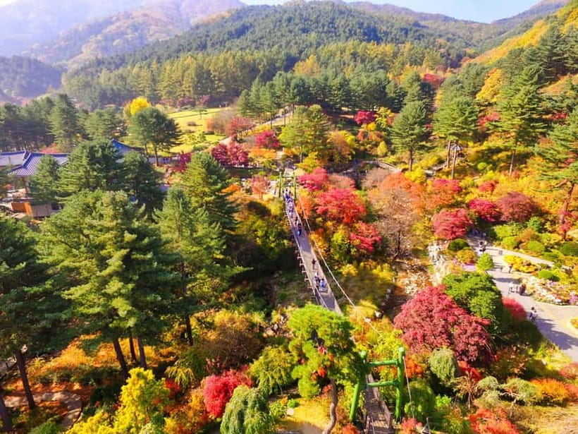 Seoul: Pocheon Art Valley, Garden and Fruit Picking Day Tour - Pocheon Art Valley: quarry-to-art views you can actually plan around
