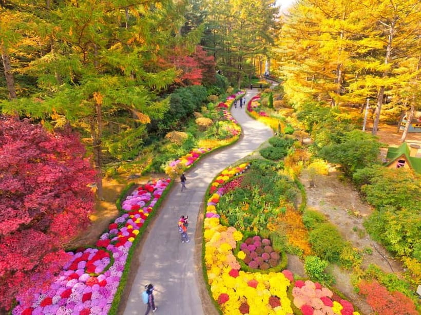 Seoul: Pocheon Art Valley, Garden and Fruit Picking Day Tour - The timing rhythm: where you’ll feel rushed (and where you won’t)