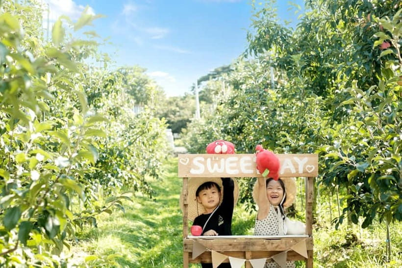 Seoul: Pocheon Art Valley, Garden and Fruit Picking Day Tour - Price and value: what $77 actually buys you