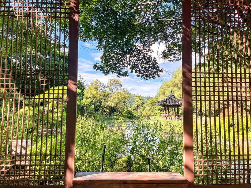 Seoul: Pocheon Art Valley, Garden and Fruit Picking Day Tour - What the guide experience adds (and why names matter)