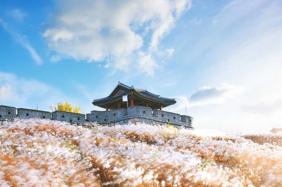 Seoul : Suwon Hwaseong Fortress+Starfield Library+Waujeongsa - Key Things You’ll Notice on This Suwon and Gyeonggi Day