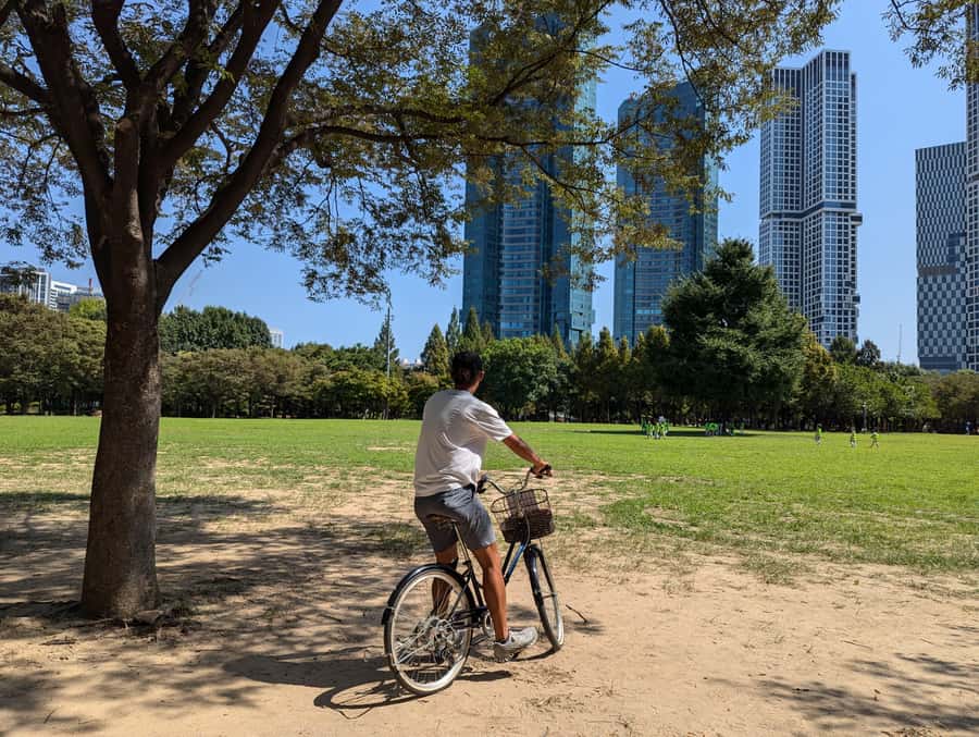 Seoul: Urban Nature Bike Tour along Han River - Seongsu-dong, the Brooklyn of Seoul: Trendy Strolls Without the Stress
