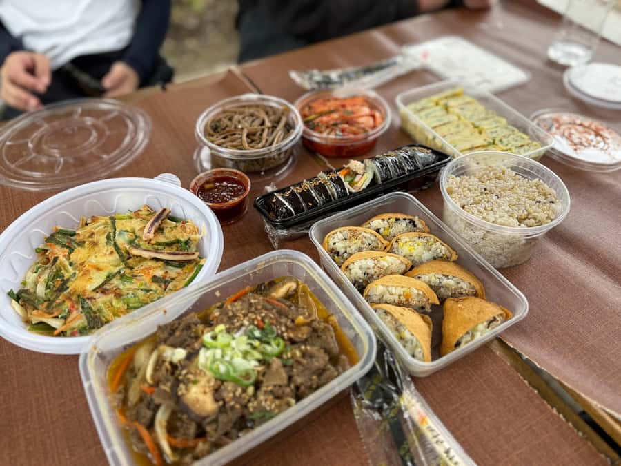Seoul: Urban Nature Bike Tour along Han River - The Optional Han River Picnic: Local Culture You Can Actually Do