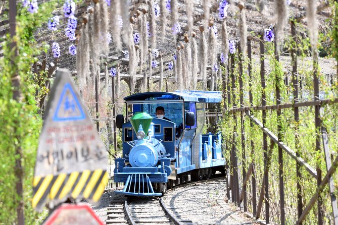 Seoul Vicinity 5 in 1: Nami Island, Garden of Morning Calm & More - What I think about the pacing (and how to avoid feeling rushed)