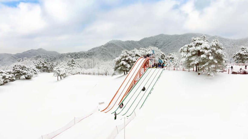 Seoul: Vivaldi Park Winter Ski with Eobi Ice Valley Day Tour - Key things to know before you go