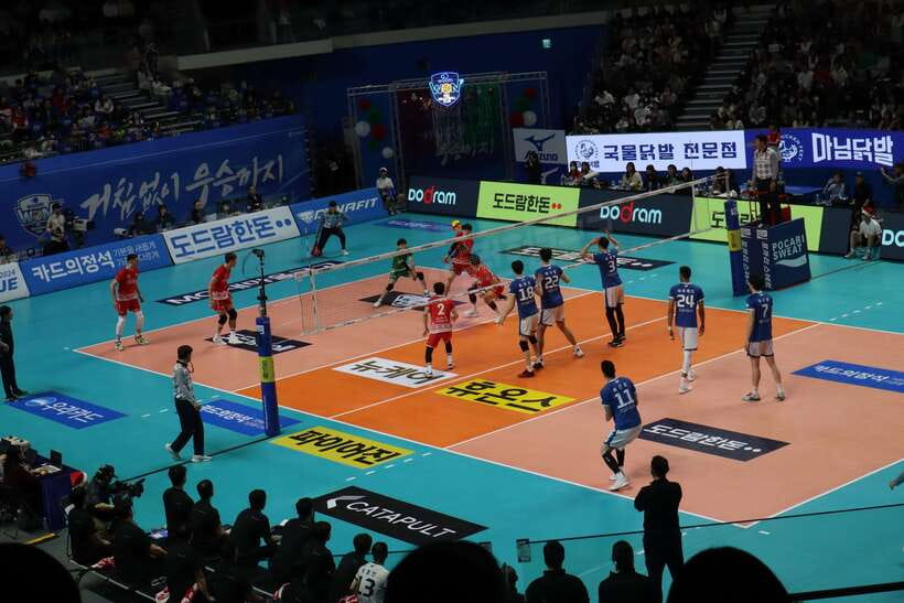 Seoul: Watching Sports Match & Local Food Experience - Key things you’ll love about Seoul sports, food, and cheering