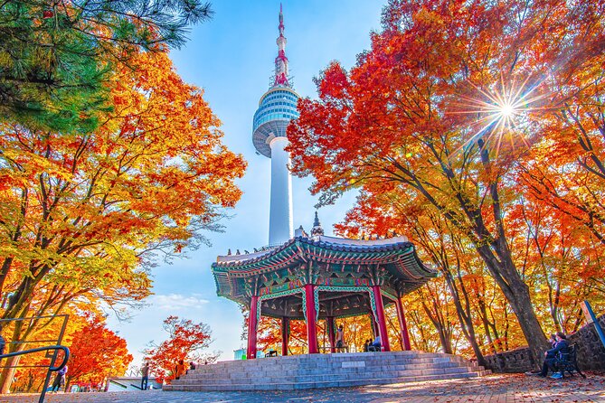 Small Group (7pax) Seoul Tour with Pickup/Dropoff (No Shopping) - The Palace Core: Gwanghwamun, Gyeongbokgung, and the Changing Guard