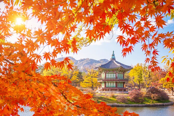 Small Group (7pax) Seoul Tour with Pickup/Dropoff (No Shopping) - Pickup, Drop-off, and Why the Morning Timing Helps