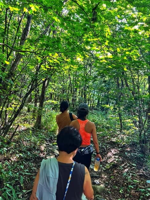 Small Group Hike on Mt. Bukhan’s Secret Paths & Local Lunch - What to bring (and what to skip)