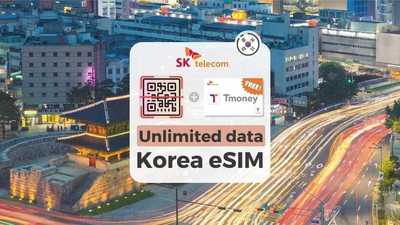 South Korea: Unlimited Data and Voice eSIM - Voice and SMS Setup: Passport Verification and Voice Credits