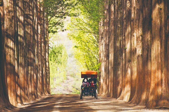 Special Private Tour Nami Island, Rail Bike, Petite France - Petite France: the storybook French village that still works as an adult break