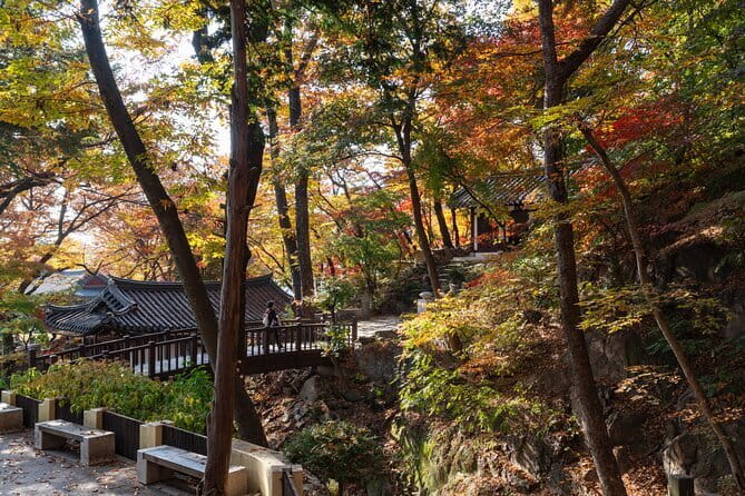 Street photoshoot and Seoul Hidden gem History Walking Tour - Ikseon-dong: Hanok Streets, Art Alleys, and Café Culture