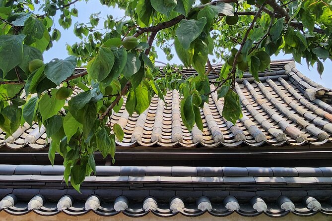 Traditional Gourmet - Lunch in a traditional Korean house: where the tour earns its star rating