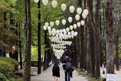 Trip to Nami Island with Petite France & Italian Village, Garden of Morning Calm - Petite France: colorful photo spots, short time, and mixed expectations