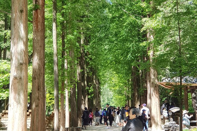 Winter Sonata TV Tour on Nami Island from Seoul - Nami Island logistics: the part that can surprise you